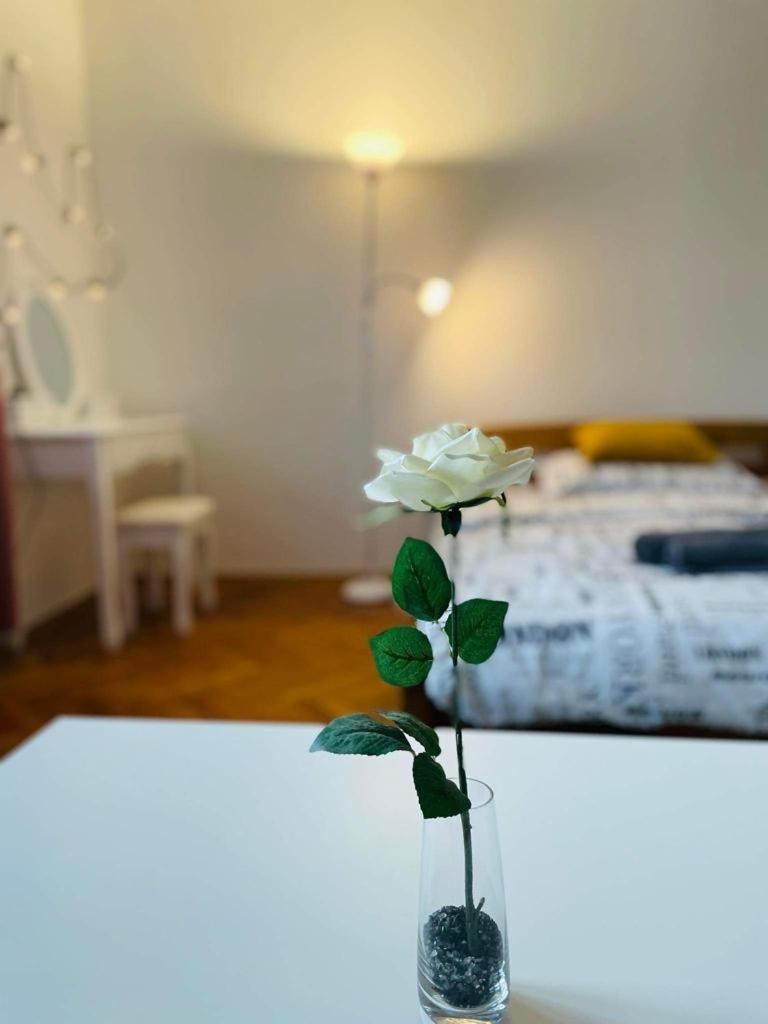 Lovely 2Bdr In Center, Wifi & Self-Check In Bratislava Eksteriør billede